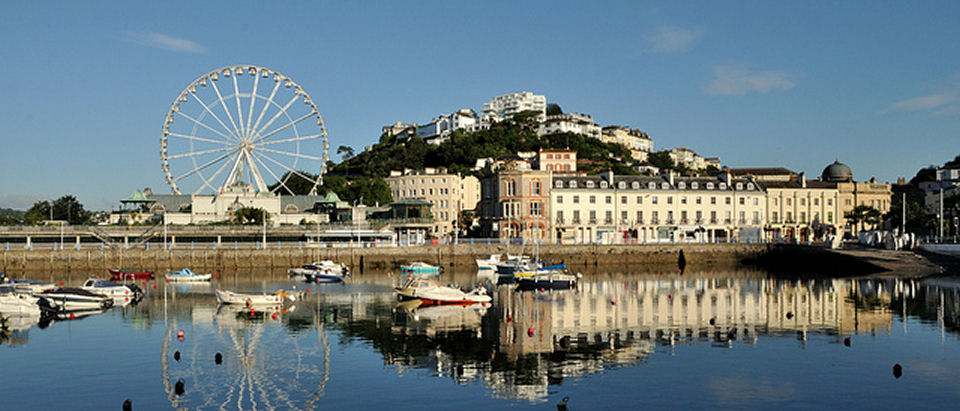 Torquay Tilers